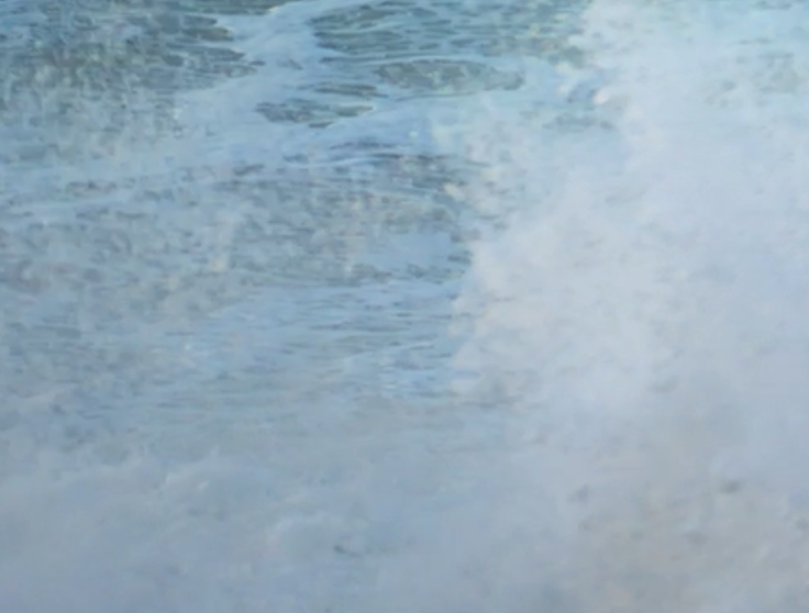 ����P(gu��n)���҂�